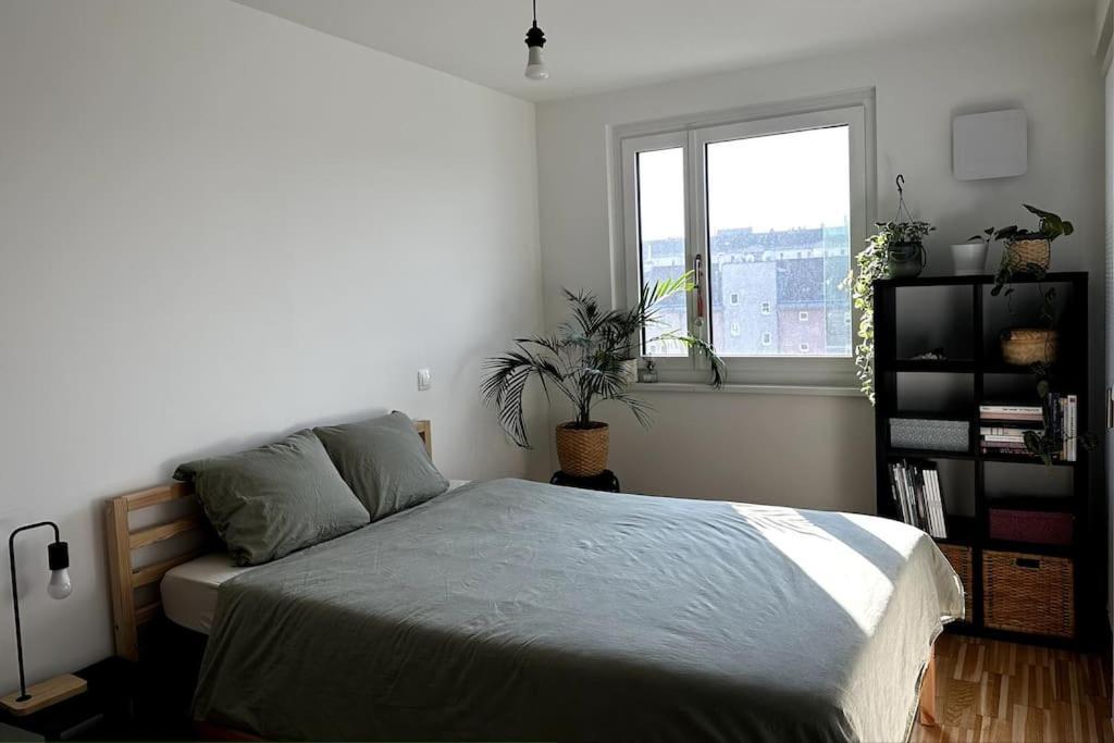 New! Near Schonbrunn Palace Apartament