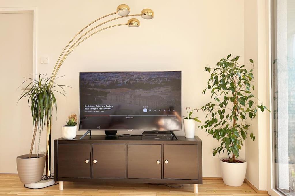 New! Near Schonbrunn Palace Apartament Viena